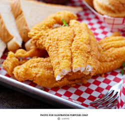 FRIED FISH FRIED FISH