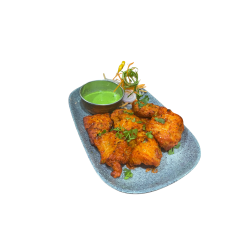 Fish Tikka Dry